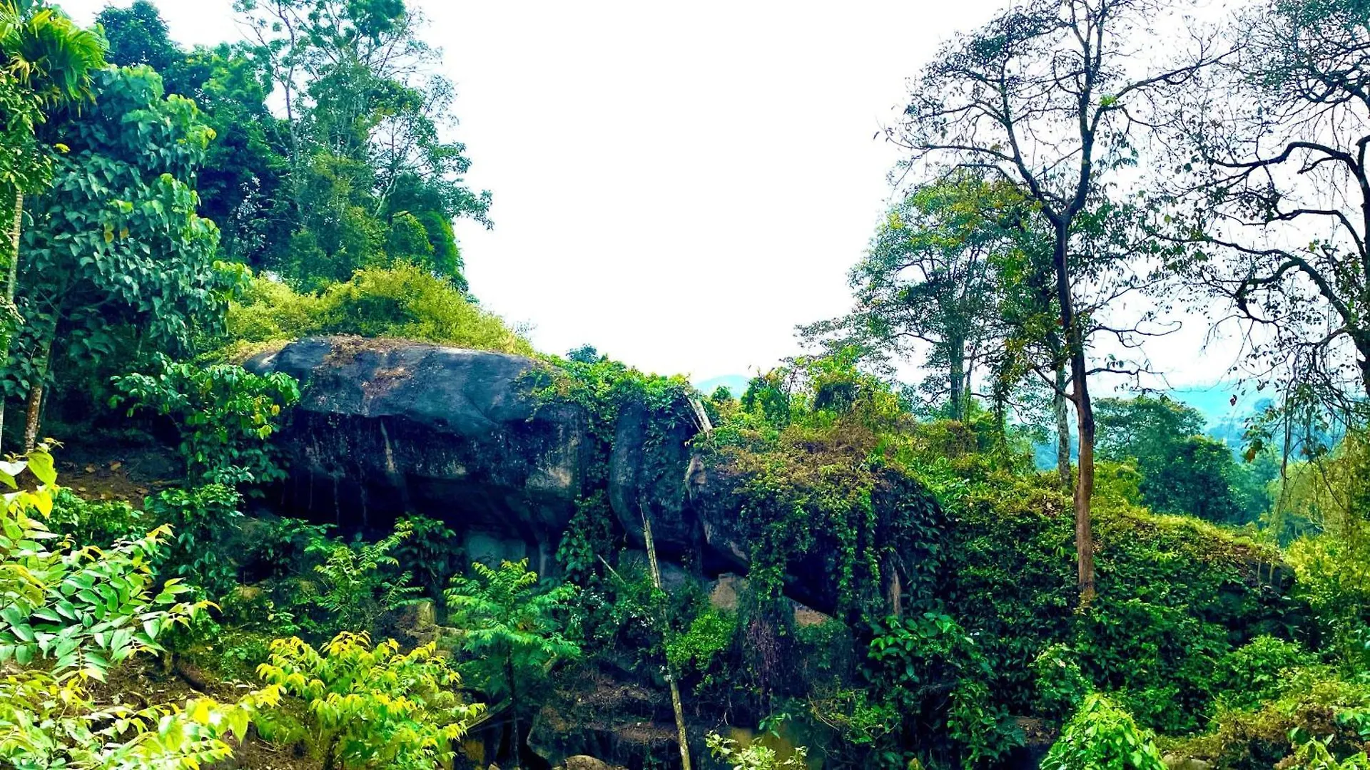 Homestay Elegant Mountain Resort Kalpetta